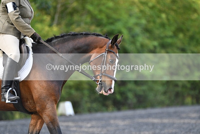 WJ5_8633 - Time 09:00 to 09:23