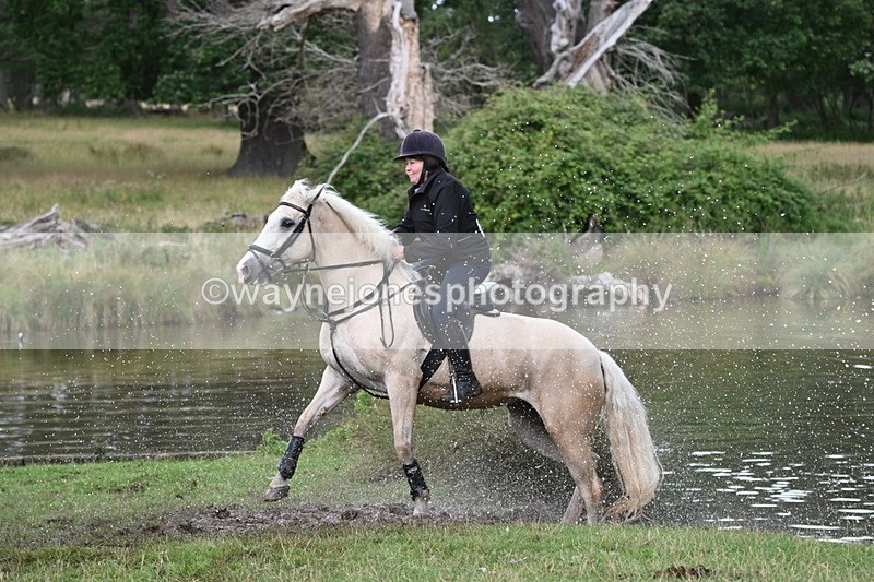 WJ7_4337 - Time at Water 12:52 to 13:22