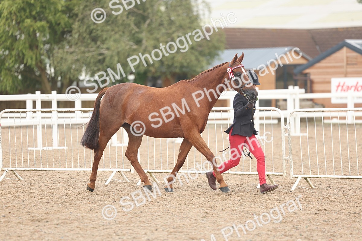 SBM_08482 - Class 29 - IH Veteran Pony