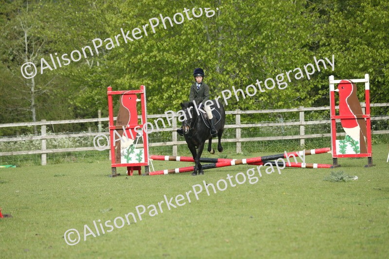20260426-0003 - Class 13 - Rookie Jumping 50cm