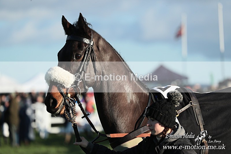 PtP 301125  0478 - Hursley Hambledon Point-to-Point Larkhill Racecourse 30/11/2025
