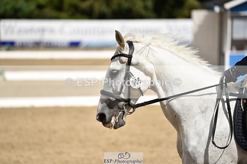 140110A-043644-12206 - 005-Jean.Buckland-Ballinvella.Molly