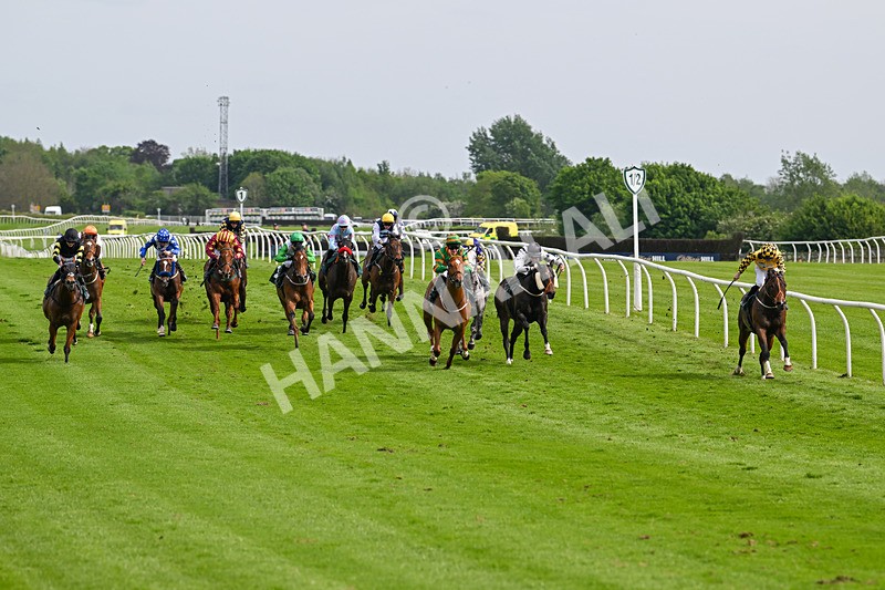 130524-Race 5-Sherdil-0547 - Race 5