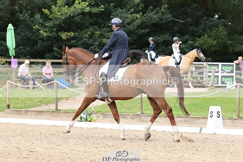 240810-144325-03793 - 121-Debbie.Cole-Dancer.III