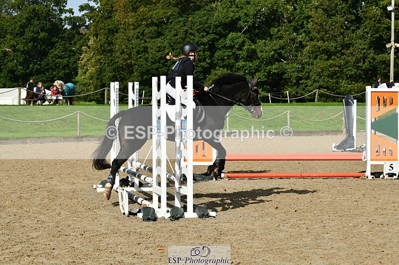 251004A-121030-00928 - Classes 4 & 5 50cm