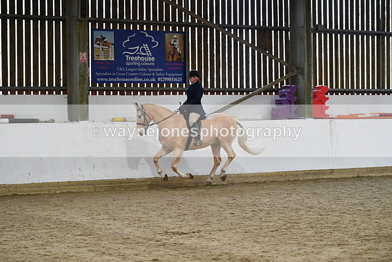 WJ5_6147 - Class 9 Ridden Veteran