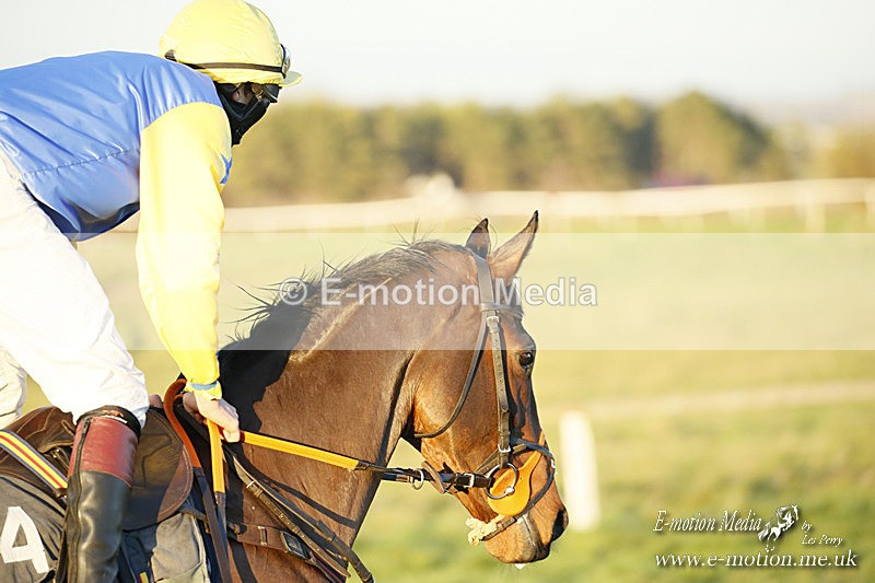 PtP 121220 716 - Avon Vale Races Larkhill 12/12/20