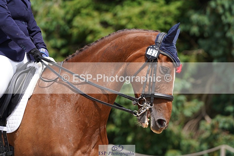 240721-140352-09181 - 152-Nicole_Windley-Shirsheen_Merlin