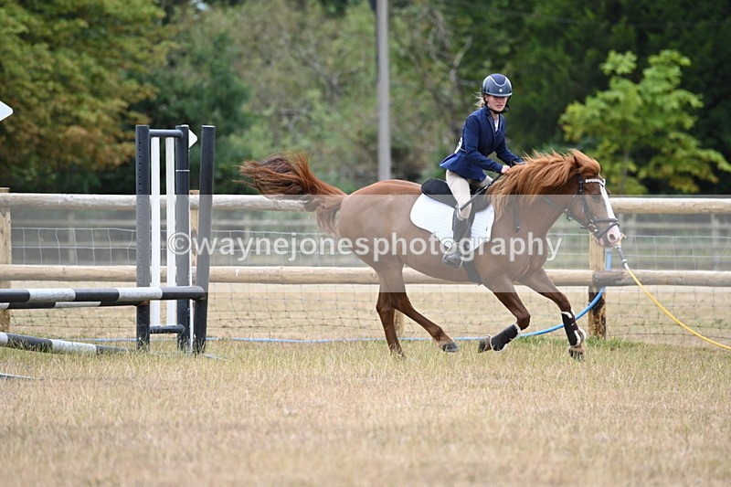 WJ6_0393 - Class 13 Novice Jumping 60cm