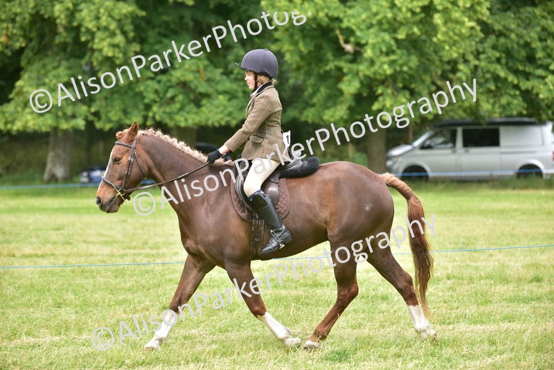 20260614-2672 - Class 13 - Pony Club Pony