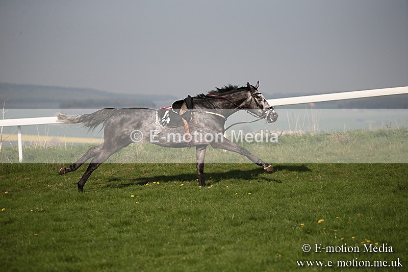 PtP 210418 628 - South & West Wilts Point-to-Point Larkhill 21/04/18