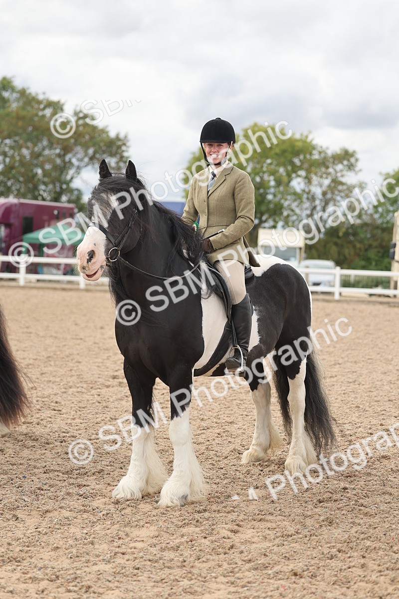 SBM_18085 - Class 314 - Family Horse Pony