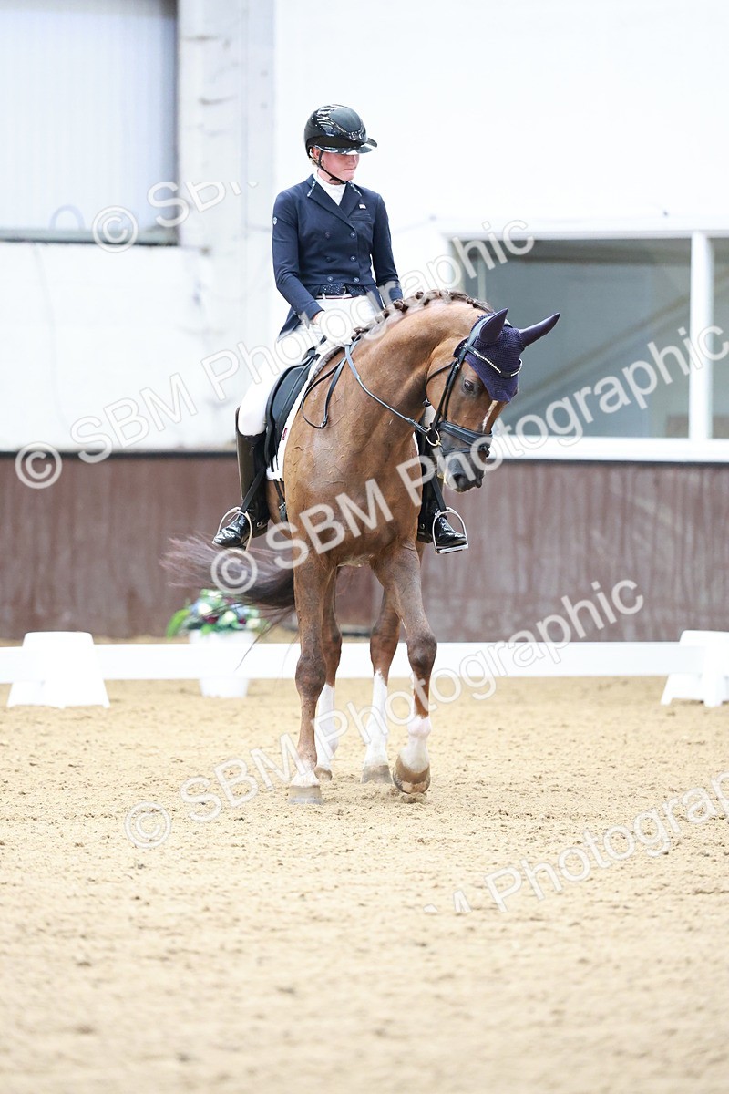 SBM_017708 - Class 15 - FEI Junior