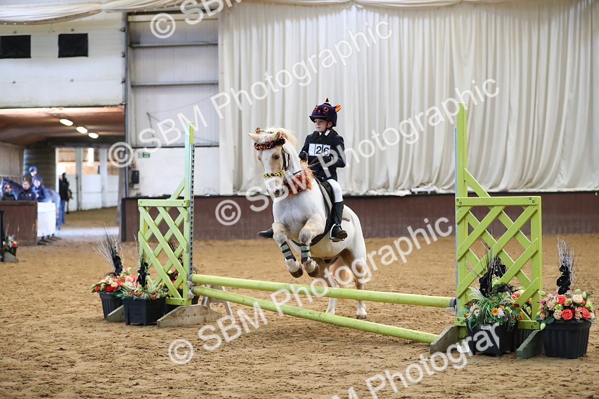 SBM_000139 - Class 1 - Show Jumping 50cm