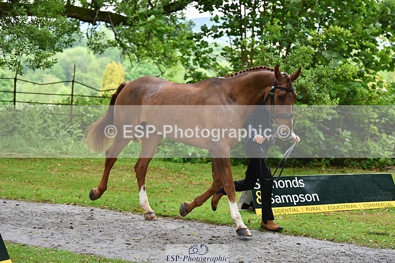 240522-161358-00800 - 159-WICKLOW_INTO_ORBIT-Lucy_Richards