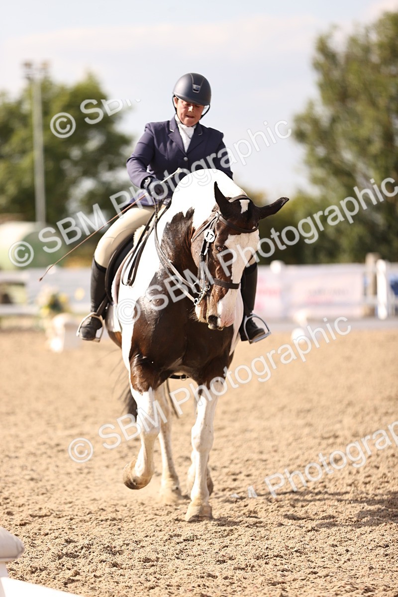 SBM_08100 - Class 39 Medium 3