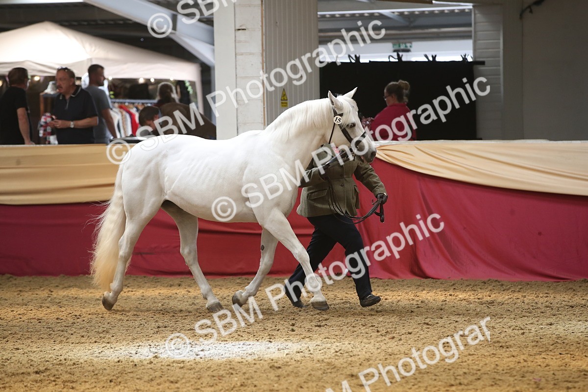 SBM_05617 - Class 9R - Regional IH Pre-Vet
