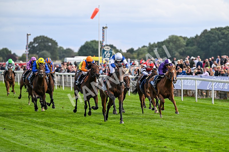 210826-Race 6-Benjamin Hornigold-7146 - Race 6 16.45pm British Stallion Studs EBF Convivial Maiden Stakes