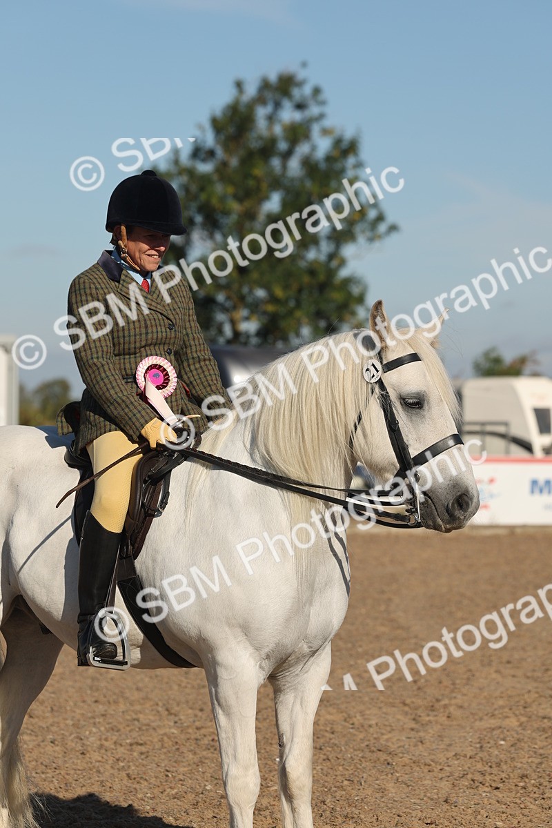 SBM_11137 - Class 302 - Ridden M&M Large Breeds