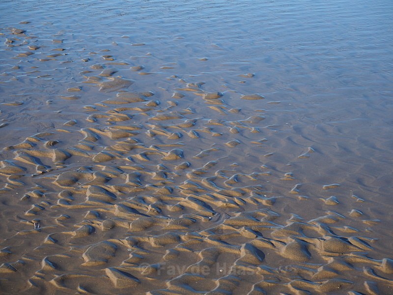 P12501260251 - Sea Shores
