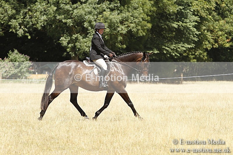 _BS_0795 - BVRC Show 2018 Ring 1