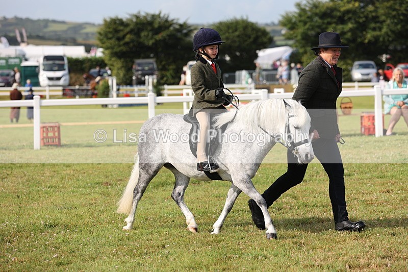 JPP_0436 - Class 14: Cornish Combination Leading Rein