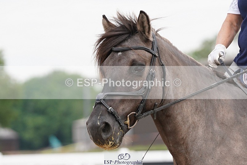 250621-100442-05624 - Quest Cls 7-11, Prelim All