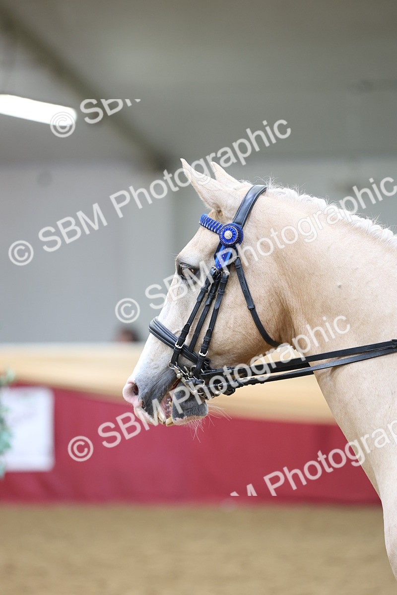 SBM_24085 - Class 905 - Supreme Final - Ridden Veteran