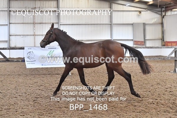 BPP_1468 - MORNING 9AM - 12PM