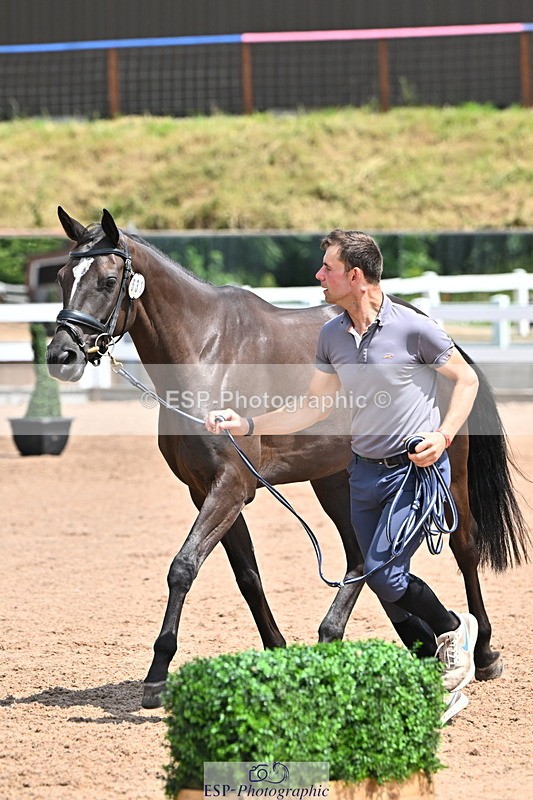 240718A-105313-01719 - Trot Up 1pm to 2pm