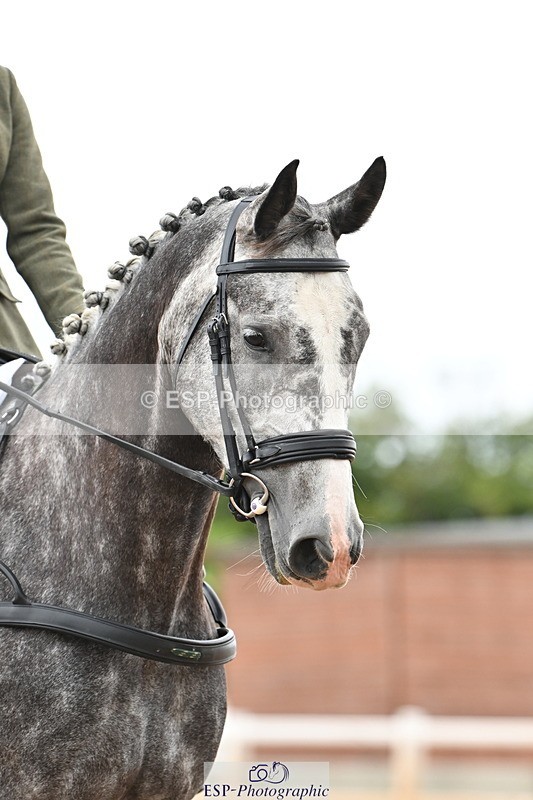 240622A-113812-08638 - Cls 3 Prelim 12