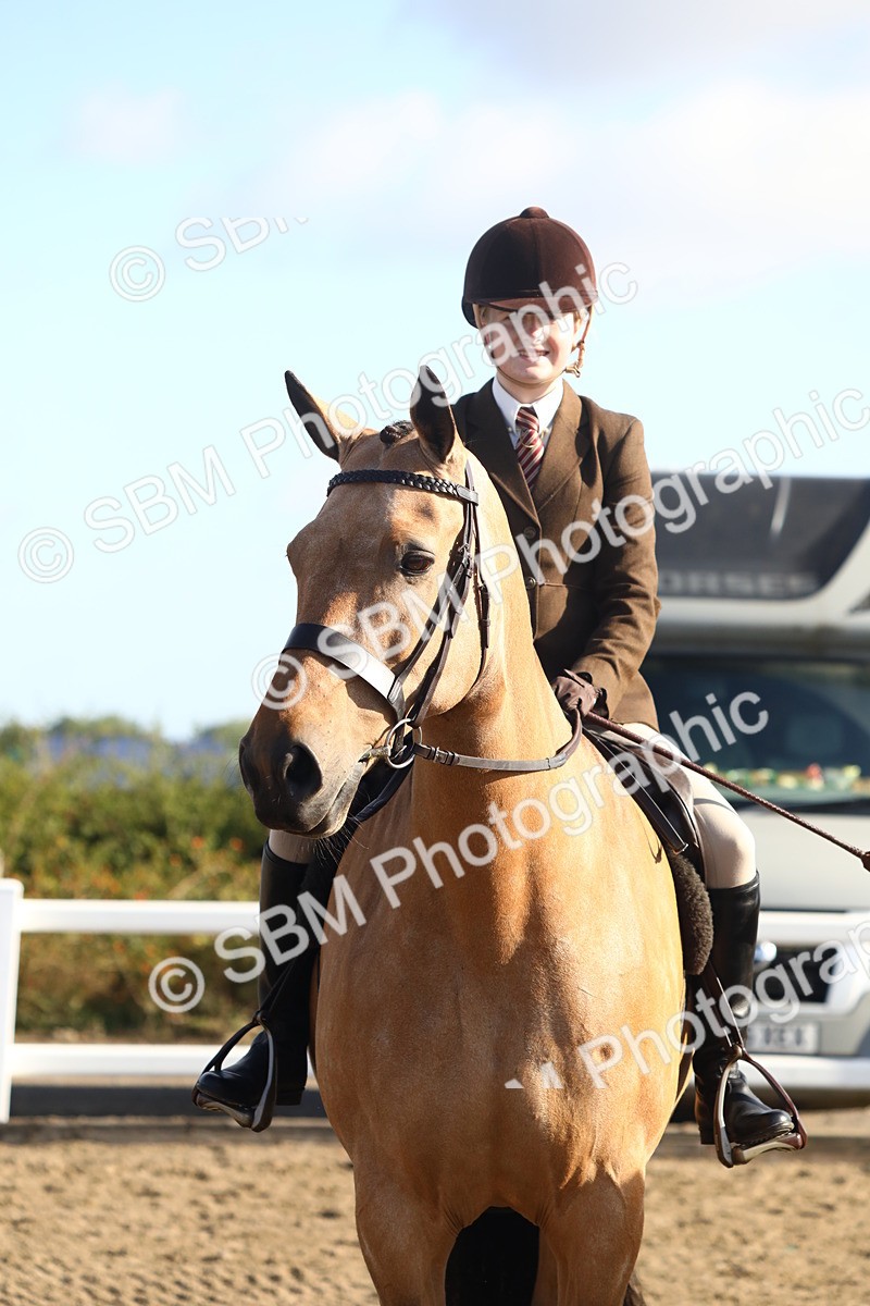 SBM_08600 - Class 502 - Riding Club Horse