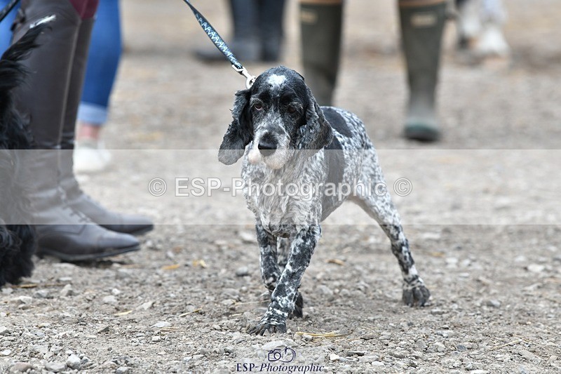 230817-124210-02794 - Stable Shots