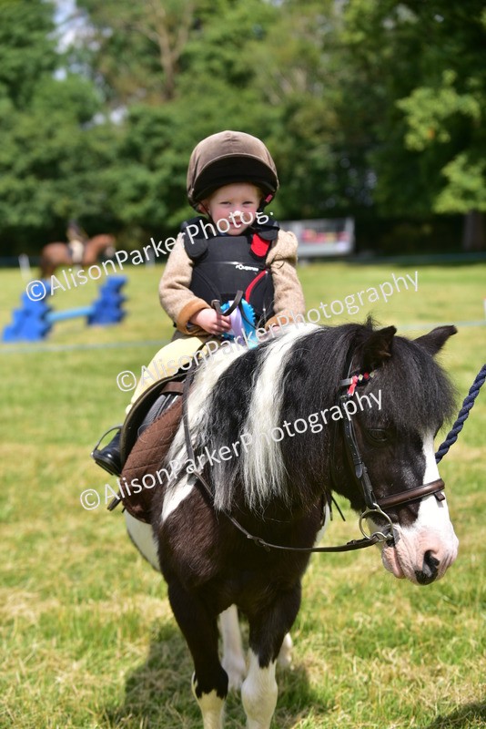 20260614-1334 - Class 11a - Lead Rein Pony (Unplaited)