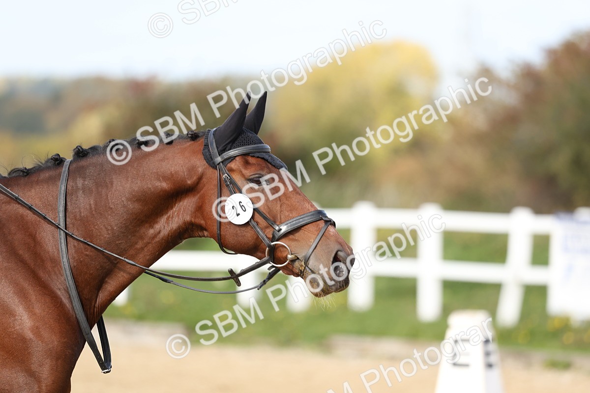 SBM_001452 - Class 3 - Novice 4