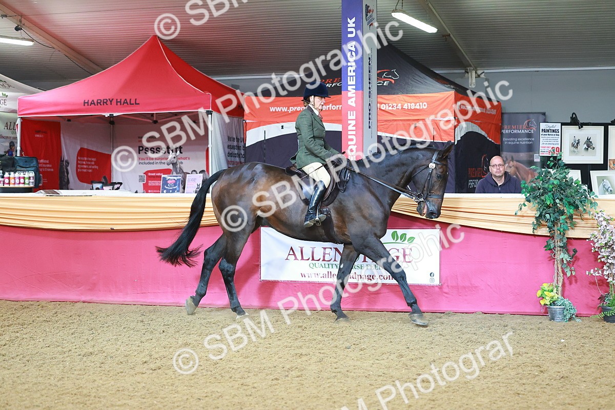 SBM_07633 - Class 101 - HOYS Veteran Qualifier - Ridden Diamond