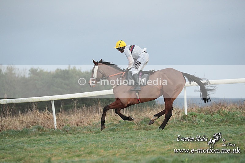 PtP 311223 817 - Larkhill Racing Club Point-to-Point 31/12/23