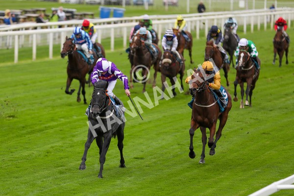 131023-Race 1-Pilgrim-9711 - Race 1 2.05pm William Hill EBF Novice Stakes