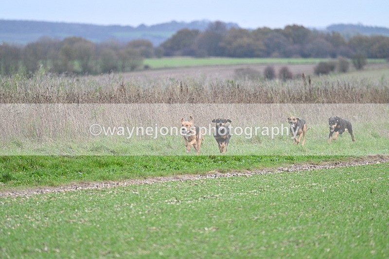 WJ7_2514 - Camera A