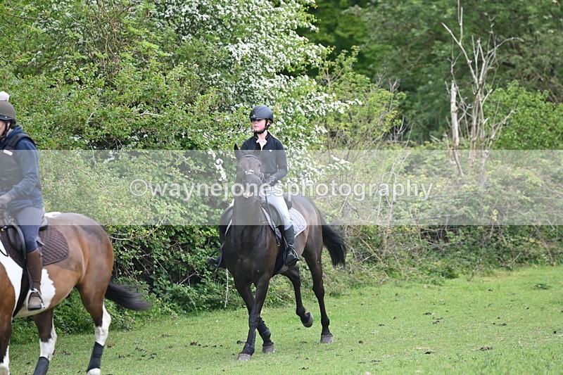 WJ6_2834 - A Camera