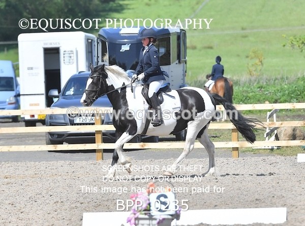 BPP_0235 - SHORT ARENA  MY QUEST PRELIM