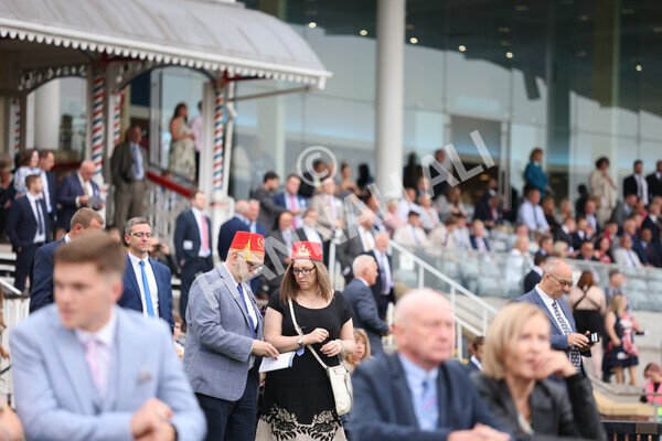 yr22072022r4-19 - Race 4 6.50pm The IRE Incentive It Pays To Buy Irish EBF Restricted Novice Stakes