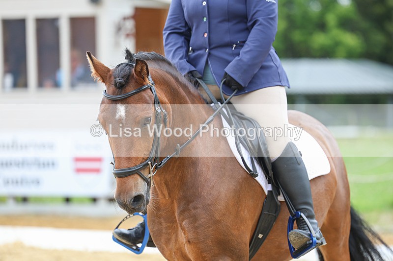 3E7A5151 - Class 2: Intro 4 2024 section B