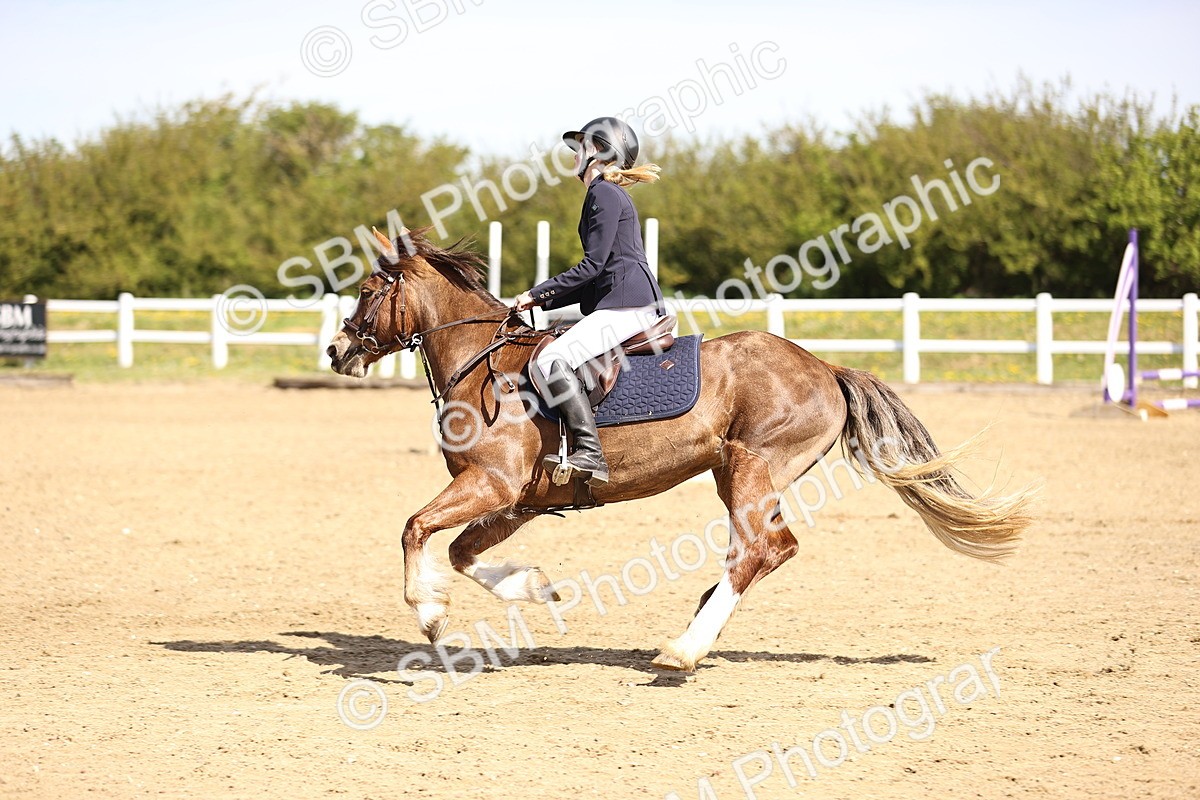 SBM_000928 - 60cm