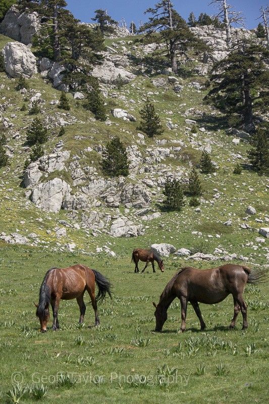 9359 Pollino Massif - Basilicata