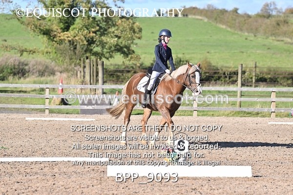 BPP_9093 - SHORT ARENA INTRO 3