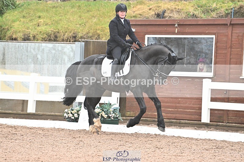 250215-103420-03049 - 244-Suzanne.Clark-Ballinamurra.Billy