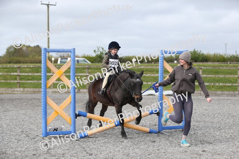 20260412-0132 - Show Jumping