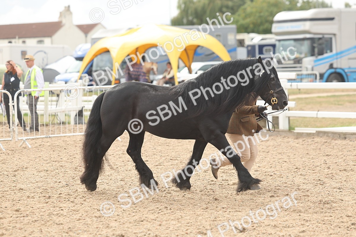 SBM_03156 - Class 16 - IH M&M Wildcard