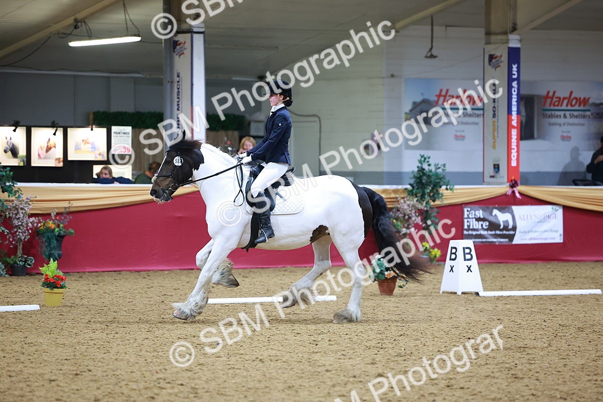 SBM_06635 - Class 61 - Dressage to Music